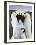 Emperor Penguins and Chick in Antarctica-Paul Souders-Framed Premium Photographic Print