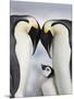 Emperor Penguins and Chick in Antarctica-Paul Souders-Mounted Premium Photographic Print