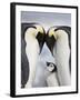 Emperor Penguins and Chick in Antarctica-Paul Souders-Framed Photographic Print