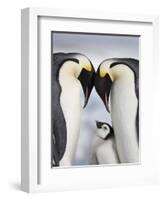 Emperor Penguins and Chick in Antarctica-Paul Souders-Framed Photographic Print