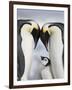 Emperor Penguins and Chick in Antarctica-Paul Souders-Framed Photographic Print