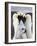 Emperor Penguins and Chick in Antarctica-Paul Souders-Framed Photographic Print