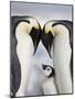 Emperor Penguins and Chick in Antarctica-Paul Souders-Mounted Photographic Print