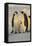 Emperor Penguins and Offspring-DLILLC-Framed Stretched Canvas