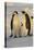 Emperor Penguins and Offspring-DLILLC-Stretched Canvas