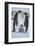 Emperor Penguins and Offspring-DLILLC-Framed Photographic Print