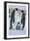 Emperor Penguins and Offspring-DLILLC-Framed Photographic Print