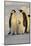 Emperor Penguins and Offspring-DLILLC-Mounted Photographic Print