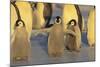 Emperor Penguins and Offspring-DLILLC-Mounted Photographic Print