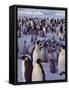 Emperor Penguins, Antarctica-Michael Rougier-Framed Stretched Canvas