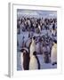 Emperor Penguins, Antarctica-Michael Rougier-Framed Photographic Print