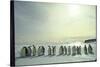 Emperor Penguins, Antarctica-Michael Rougier-Stretched Canvas