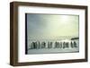 Emperor Penguins, Antarctica-Michael Rougier-Framed Premium Photographic Print