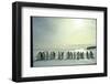 Emperor Penguins, Antarctica-Michael Rougier-Framed Premium Photographic Print