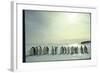 Emperor Penguins, Antarctica-Michael Rougier-Framed Photographic Print