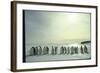 Emperor Penguins, Antarctica-Michael Rougier-Framed Photographic Print