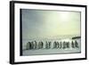 Emperor Penguins, Antarctica-Michael Rougier-Framed Photographic Print