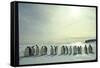 Emperor Penguins, Antarctica-Michael Rougier-Framed Stretched Canvas