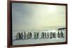 Emperor Penguins, Antarctica-Michael Rougier-Framed Photographic Print