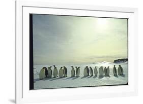 Emperor Penguins, Antarctica-Michael Rougier-Framed Photographic Print