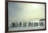 Emperor Penguins, Antarctica-Michael Rougier-Framed Premium Photographic Print