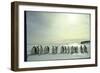 Emperor Penguins, Antarctica-Michael Rougier-Framed Photographic Print