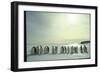 Emperor Penguins, Antarctica-Michael Rougier-Framed Photographic Print