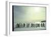 Emperor Penguins, Antarctica-Michael Rougier-Framed Photographic Print