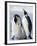 Emperor Penguins (Aptenodytes Forsteri) and Chick, Snow Hill Island, Weddell Sea, Antarctica-Thorsten Milse-Framed Photographic Print