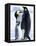 Emperor Penguins (Aptenodytes Forsteri) and Chick, Snow Hill Island, Weddell Sea, Antarctica-Thorsten Milse-Framed Stretched Canvas