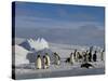 Emperor Penguins (Aptenodytes Forsteri), Snow Hill Island, Weddell Sea, Antarctica, Polar Regions-Thorsten Milse-Stretched Canvas