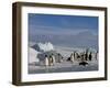 Emperor Penguins (Aptenodytes Forsteri), Snow Hill Island, Weddell Sea, Antarctica, Polar Regions-Thorsten Milse-Framed Photographic Print