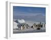 Emperor Penguins (Aptenodytes Forsteri), Snow Hill Island, Weddell Sea, Antarctica, Polar Regions-Thorsten Milse-Framed Photographic Print