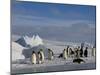 Emperor Penguins (Aptenodytes Forsteri), Snow Hill Island, Weddell Sea, Antarctica, Polar Regions-Thorsten Milse-Mounted Photographic Print