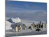 Emperor Penguins (Aptenodytes Forsteri), Snow Hill Island, Weddell Sea, Antarctica, Polar Regions-Thorsten Milse-Mounted Photographic Print