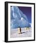 Emperor Penguins, Cape Darnley, Australian Antarctic Territory, Antarctica-Pete Oxford-Framed Photographic Print