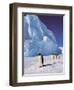 Emperor Penguins, Cape Darnley, Australian Antarctic Territory, Antarctica-Pete Oxford-Framed Premium Photographic Print