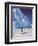 Emperor Penguins, Cape Darnley, Australian Antarctic Territory, Antarctica-Pete Oxford-Framed Premium Photographic Print