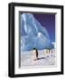 Emperor Penguins, Cape Darnley, Australian Antarctic Territory, Antarctica-Pete Oxford-Framed Premium Photographic Print