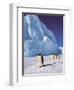 Emperor Penguins, Cape Darnley, Australian Antarctic Territory, Antarctica-Pete Oxford-Framed Premium Photographic Print