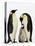 Emperor Penguins Feeding Chick-John Conrad-Stretched Canvas
