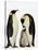 Emperor Penguins Feeding Chick-John Conrad-Stretched Canvas