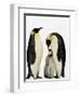 Emperor Penguins Feeding Chick-John Conrad-Framed Premium Photographic Print