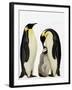 Emperor Penguins Feeding Chick-John Conrad-Framed Premium Photographic Print