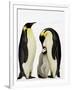 Emperor Penguins Feeding Chick-John Conrad-Framed Photographic Print