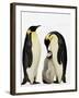 Emperor Penguins Feeding Chick-John Conrad-Framed Photographic Print