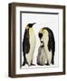 Emperor Penguins Feeding Chick-John Conrad-Framed Photographic Print