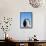 Emperor Penguins Greeting-John Conrad-Framed Stretched Canvas displayed on a wall