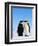 Emperor Penguins Greeting-John Conrad-Framed Premium Photographic Print