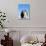 Emperor Penguins Greeting-John Conrad-Photographic Print displayed on a wall